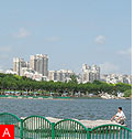 Century park. Китай. Шанхай: достопримечательности. Фото