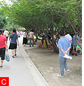 парк Heping Park. Китай. Шанхай: достопримечательности. Фото