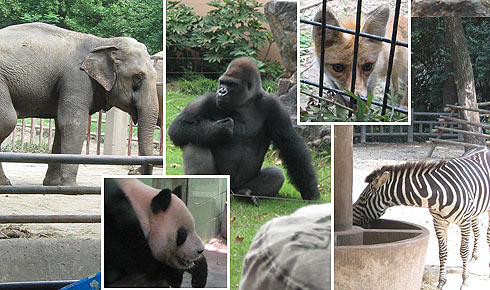 Shanghai Zoo