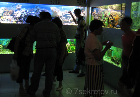 Аквариум. Новосибирский зоопарк, фото